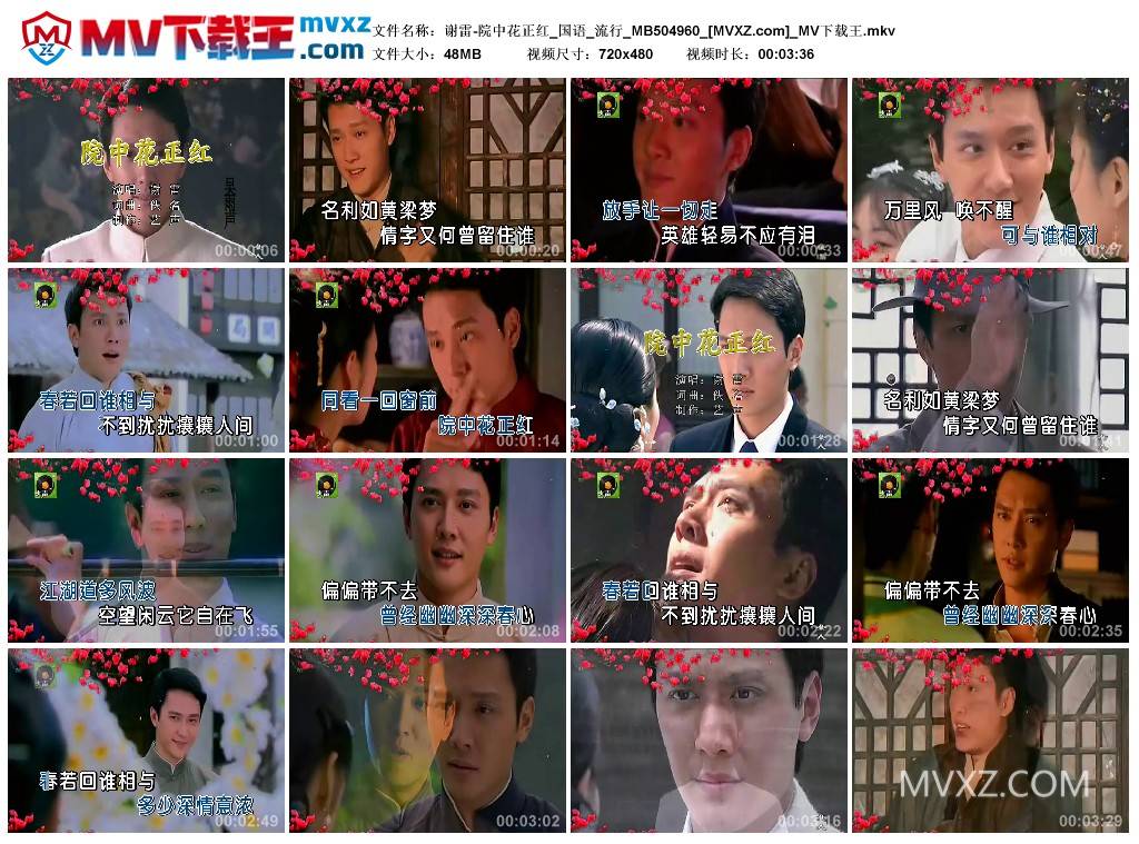 谢雷-院中花正红_国语_流行_MB504960